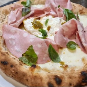 Bologna